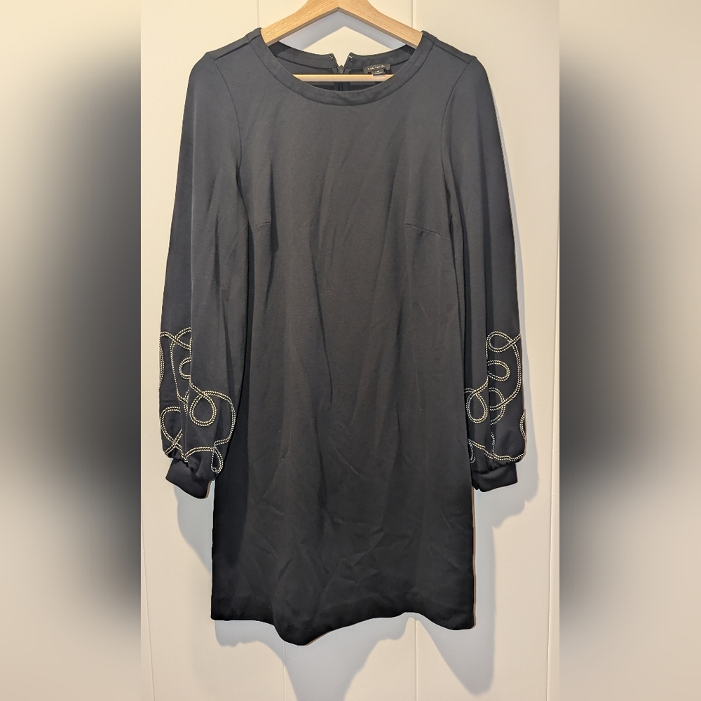 Ann Taylor Blue Dress with Embroidered Sleeves